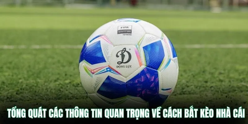 Cách Bắt Kèo Nhà Cái VB9 – Mẹo Đọc Kèo Giúp Tăng Tỷ Lệ Thắng 1 Tổng quát các thông tin quan trọng về cách bắt kèo nhà cái