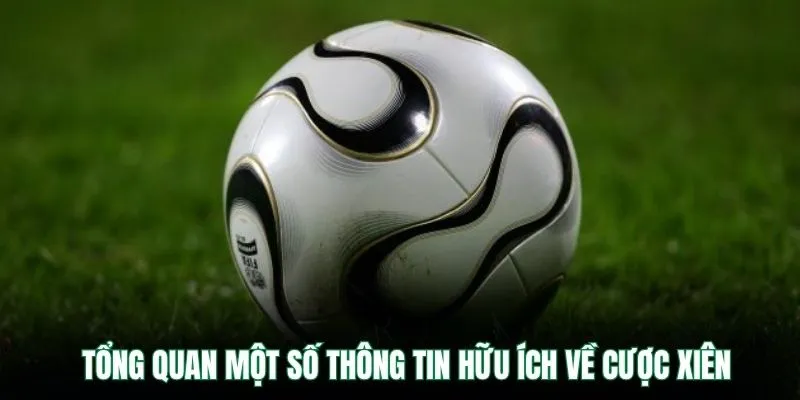 Tổng quan một số thông tin hữu ích về cược xiên