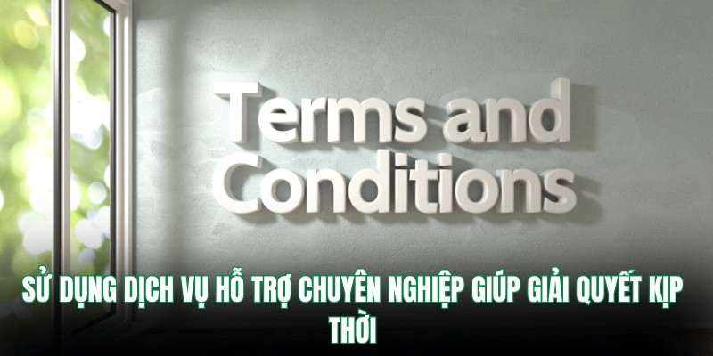 Sử dụng dịch vụ hỗ trợ chuyên nghiệp giúp giải quyết kịp thời