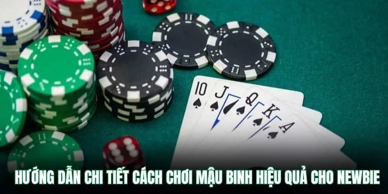 Hướng dẫn chi tiết cách chơi mậu binh hiệu quả cho newbie
