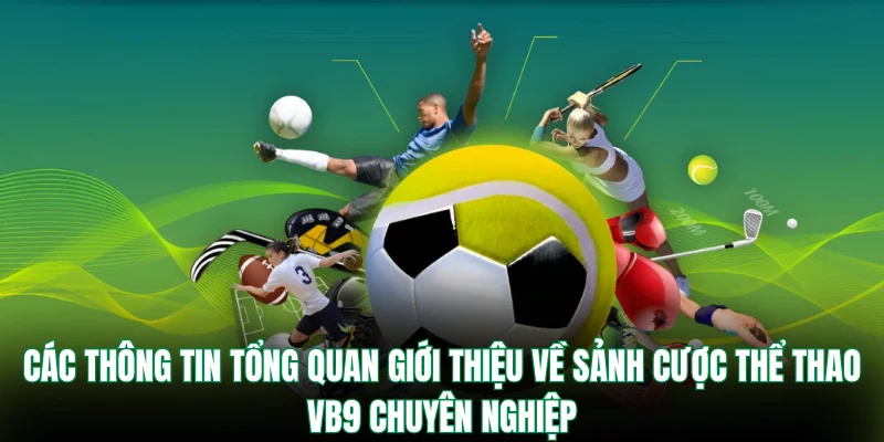 Các thông tin tổng quan giới thiệu về sảnh cược thể thao VB9 chuyên nghiệp