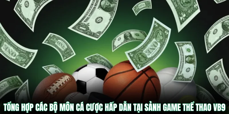 Tổng hợp các bộ môn cá cược hấp dẫn tại sảnh game thể thao VB9